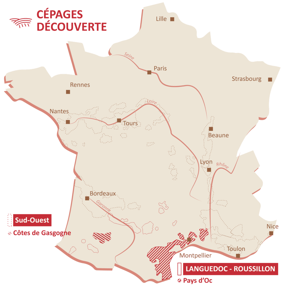 Carte du terroir Cépages Découverte